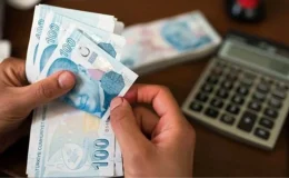 TÜİK, Türkiye’de en çok kazandıran sektör ve meslekleri açıkladı