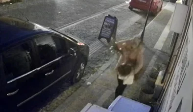 Aydın’da Süs Bitkisi Hırsızlığı