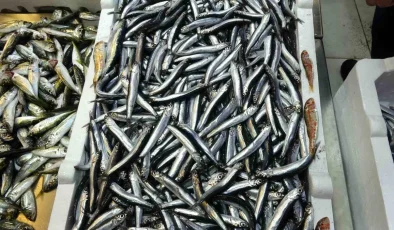 Türkiye, Hamsi İhracatından 2 Milyon Dolarlık Döviz Sağladı