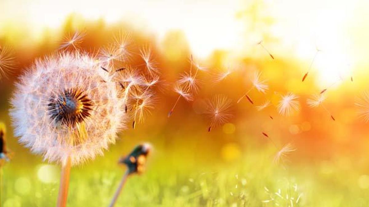 Bağışıklık için baharda beslenmeye dikkat